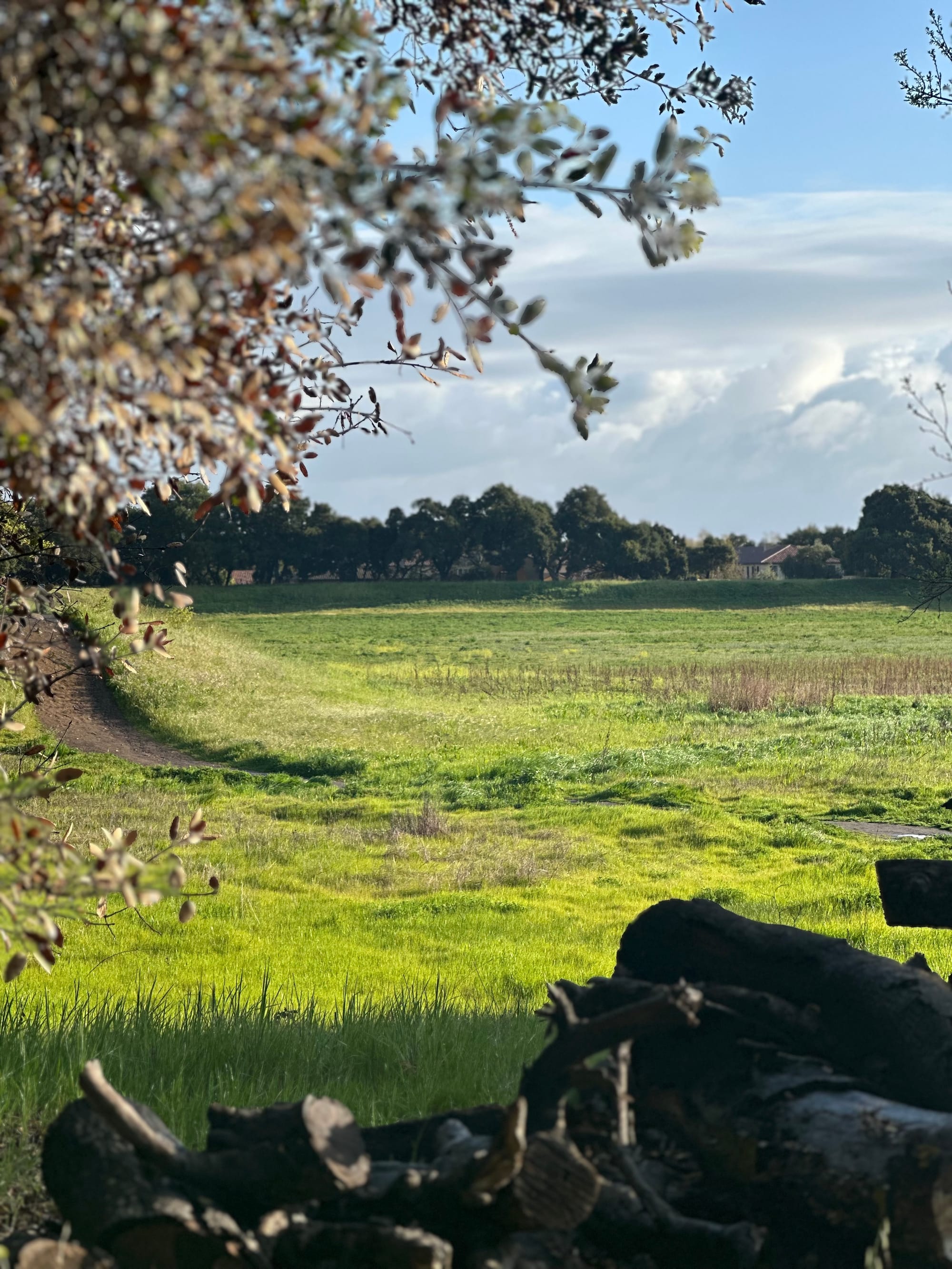 The Daily Zaladin™